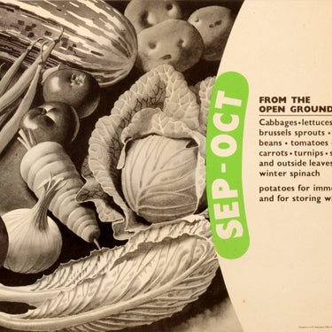 From The Open Ground Set WWII