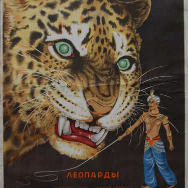 Leopard Circus Act - A Alexandrov