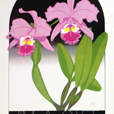 Orchids by Ken Perry