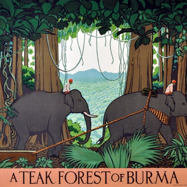 Teak Forest Burma