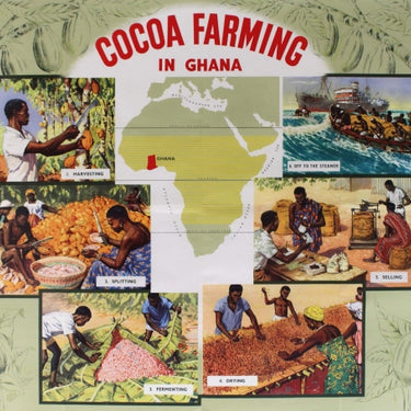 Cocoa Farming Ghana Cadburys