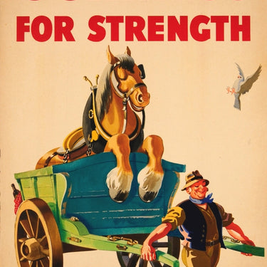 Guinness for Strength Gilroy