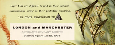 London And Manchester Assurance Company Angel Fish