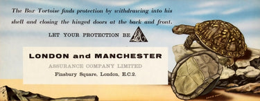 London And Manchester Assurance Company Tortoise