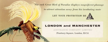 London And Manchester Assurance Company Bird Of Paradise