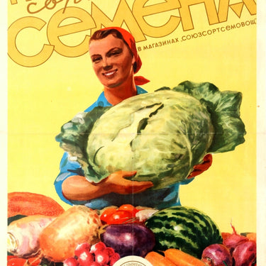 Buy Premium Seeds USSR Agriculture