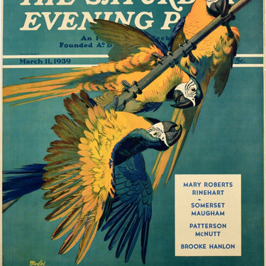 Saturday Evening Post Parrots