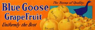 Blue Goose Grapefruit Florida USA Quality