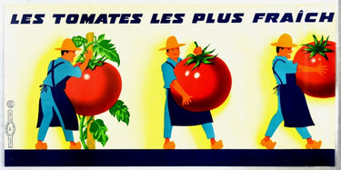 Freshest Tomatoes France