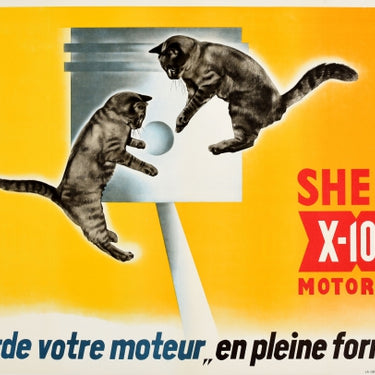 Shell X-100 Motor Oil Kittens