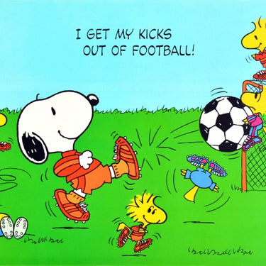 Snoopy I Get My Kicks Out Of Football