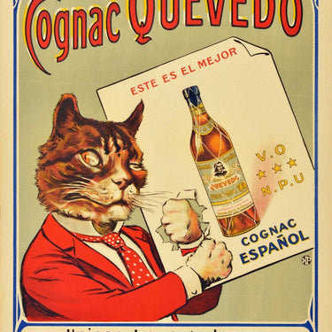 Cognac Quevedo Alcohol Cat Spain