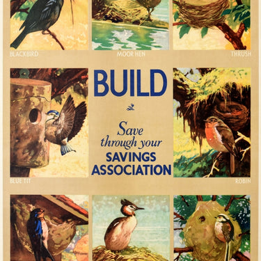 Build Savings Association British Birds