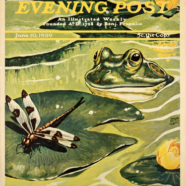 Saturday Evening Post Frog Jacob Abbott