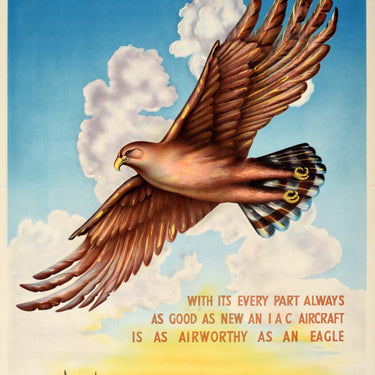 Indian Airlines Corporation Airworthy As An Eagle
