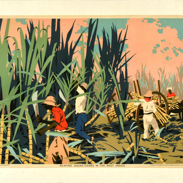 Reaping Sugar Canes In The West Indies Frank Newbould