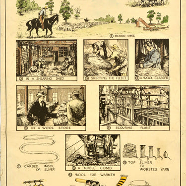 Australian Wool The Golden Fleece