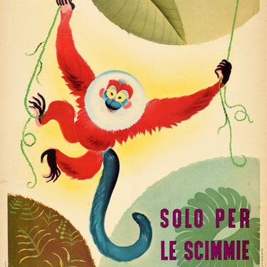 Work Acrobatics Monkey Italy Safety ENPI