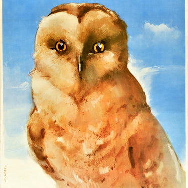 Warsaw Zoo Poland Owl Swierzy
