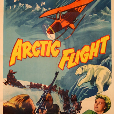 Arctic Flight