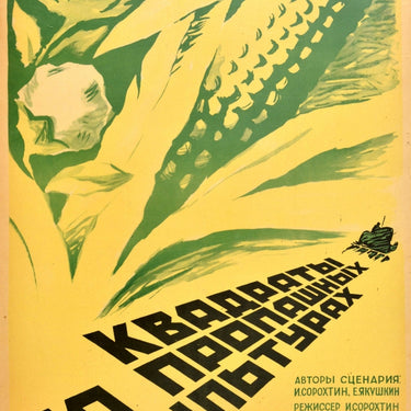 Cotton Corn Agriculture USSR