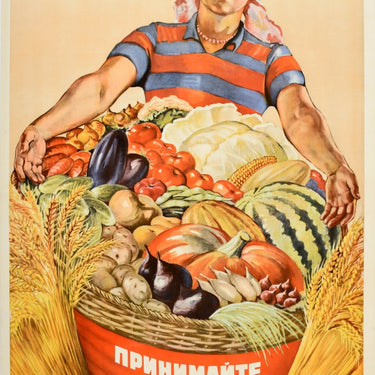 Vegetable Harvest Soviet Agriculture USSR
