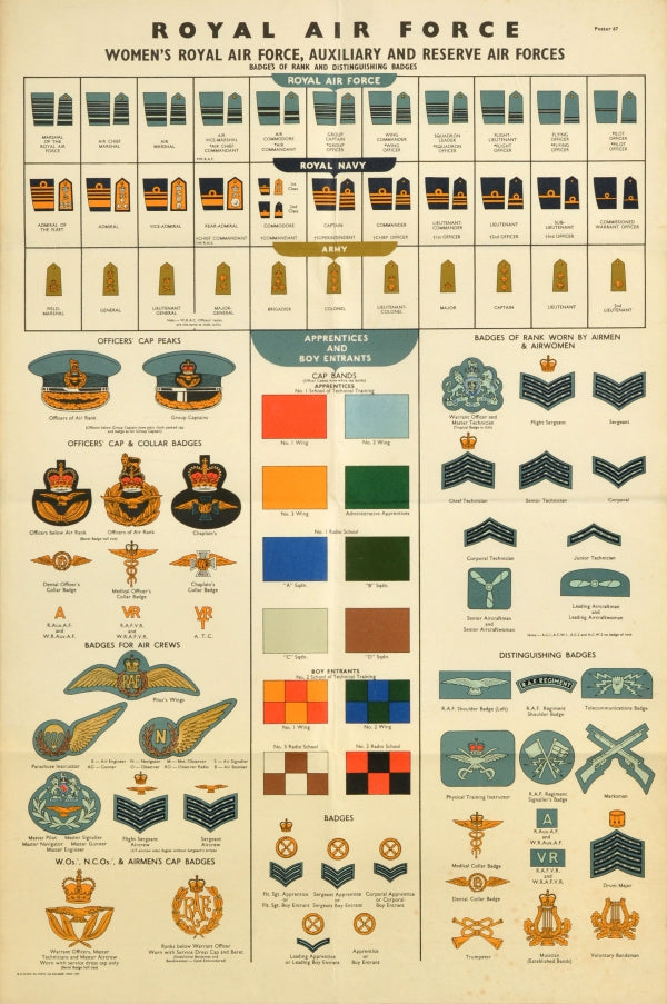 Royal Air Force Ranks 17 Royal Air Force Police Stock Vectors And