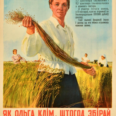 Rich Harvest Of Flax Belarus USSR