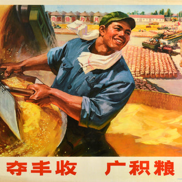 China Grain Harvest Food Storage