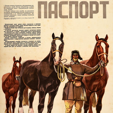 Equestrian Passport Stud Horse Breeding USSR