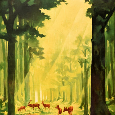 German Forest Jupp Wiertz