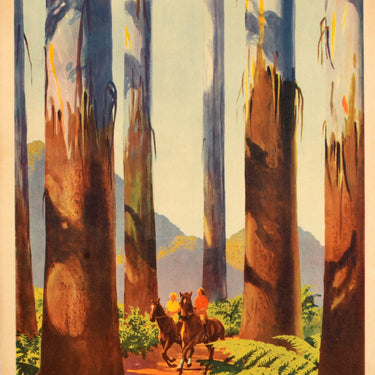 Australia Tallest Trees British Empire Marysvillee Victoria