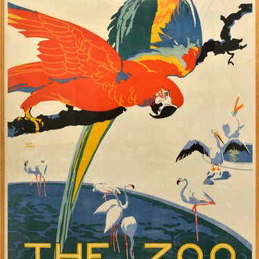 LT London Tramways Zoo Camden Town Macaw