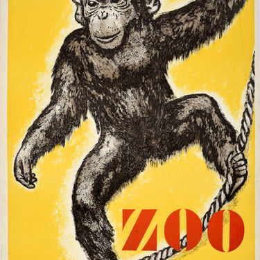 Leipzig Zoo Chimpanzee Monkey