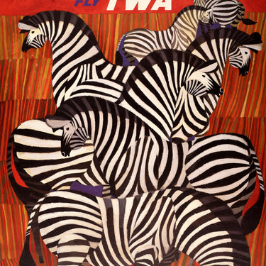 Africa Zebra Fly TWA David Klein