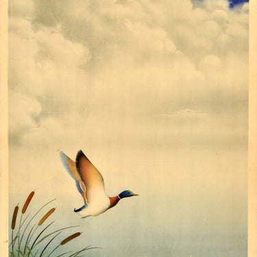 Hungary Hortobagy Hongrie Magyar