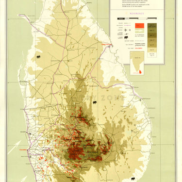 Ceylon Sri Lanka Tea Production