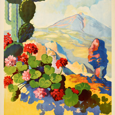 Tenerife Canary Islands Spain Printemps Eternal Spring