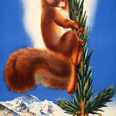 Wengen Switzerland Squirrel