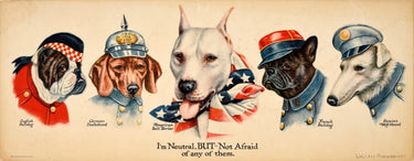National Dogs Neutral USA Bull Terrier Not Afraid WWI
