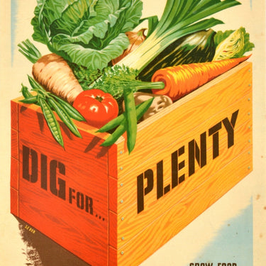 Dig For Plenty WWII Grow Food In Your Garden